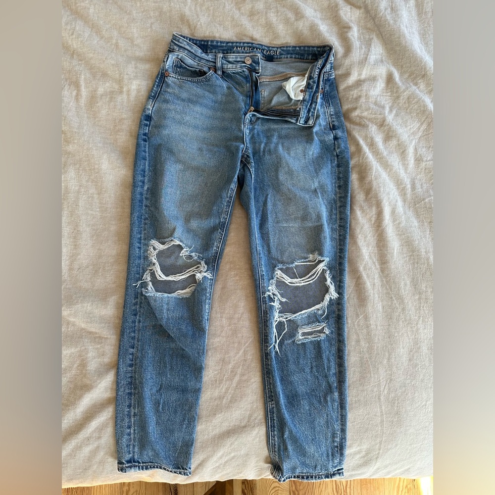 American Eagle Outfitters Strigid Mom Jean